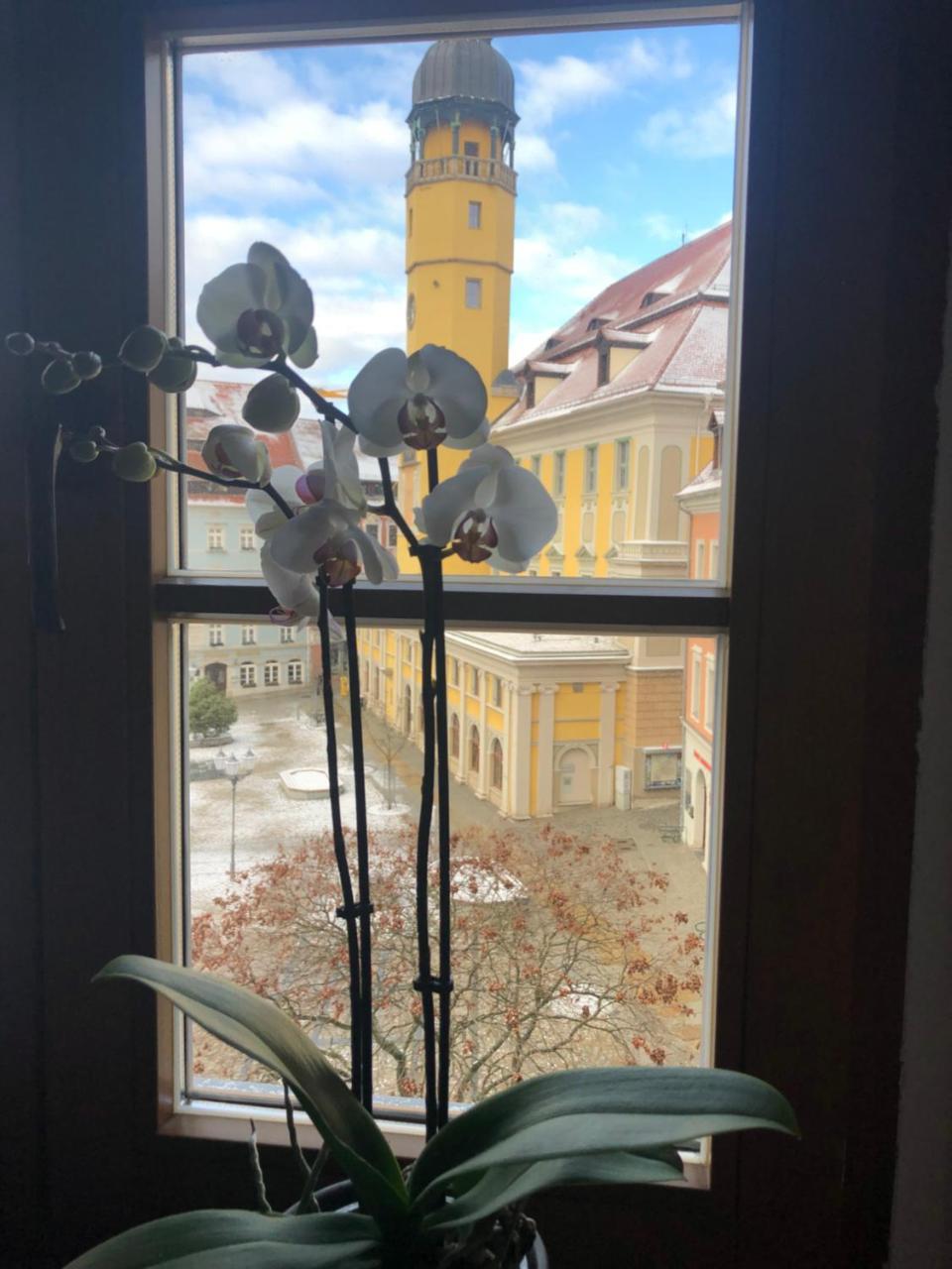 Zum Handtuch Bautzen Kültér fotó